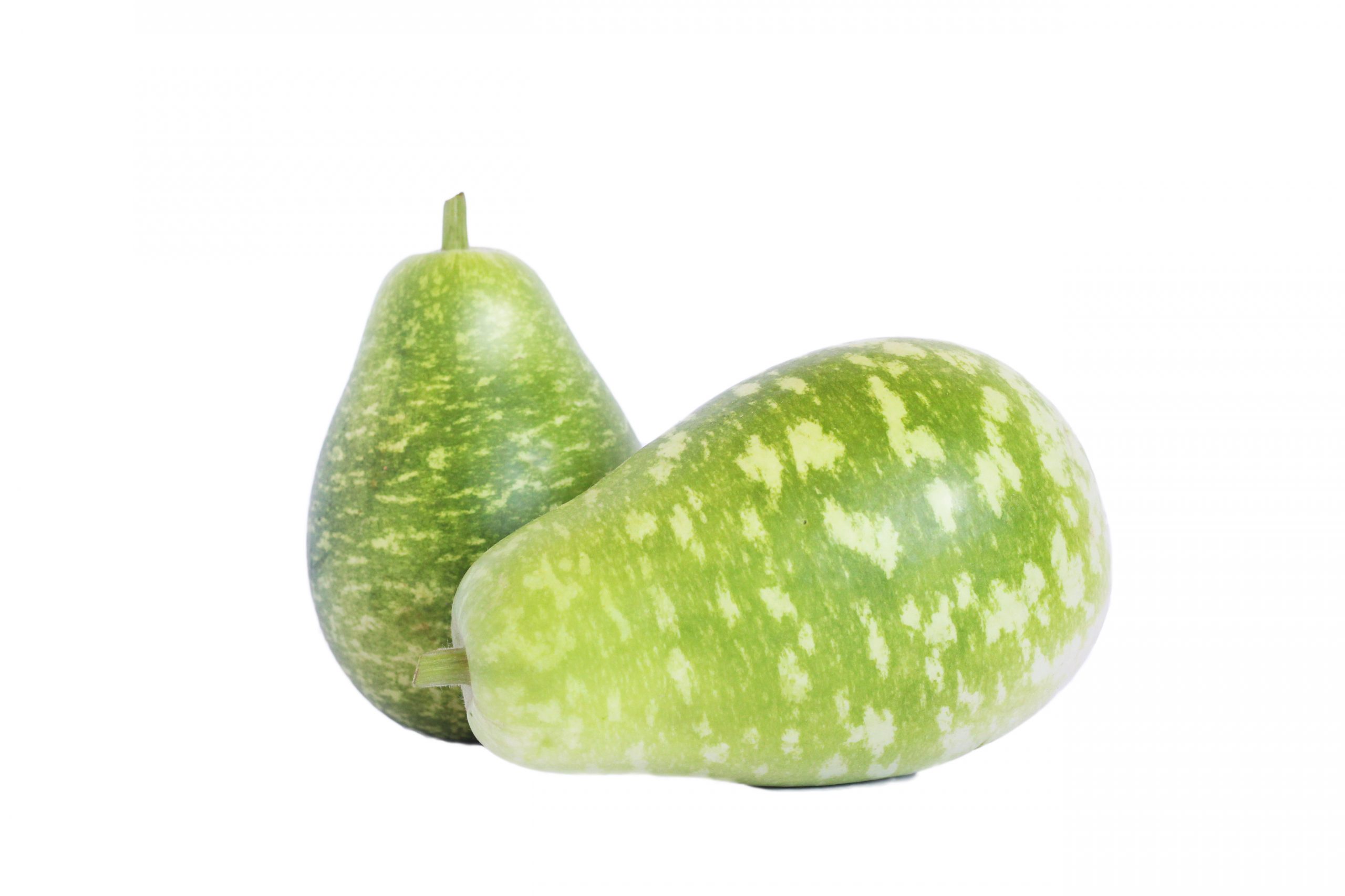 Bengali Squash