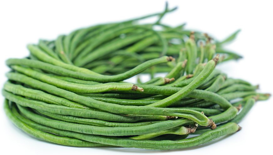 Long Bean Green
