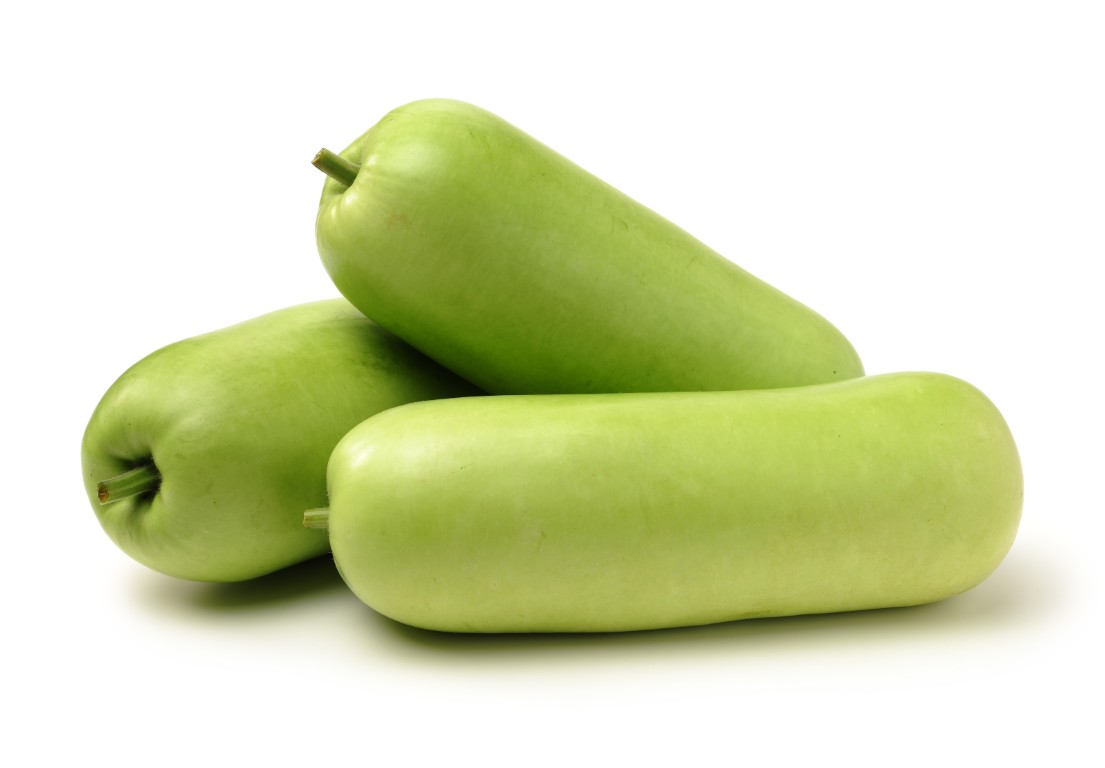 Opo (Long Squash)
