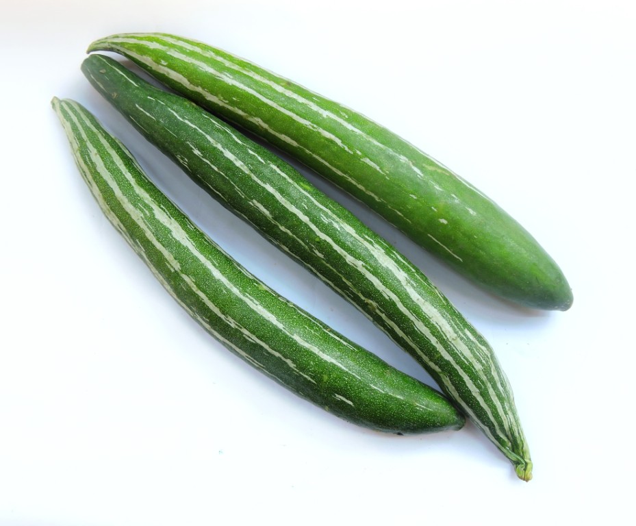 Snake Gourd Green