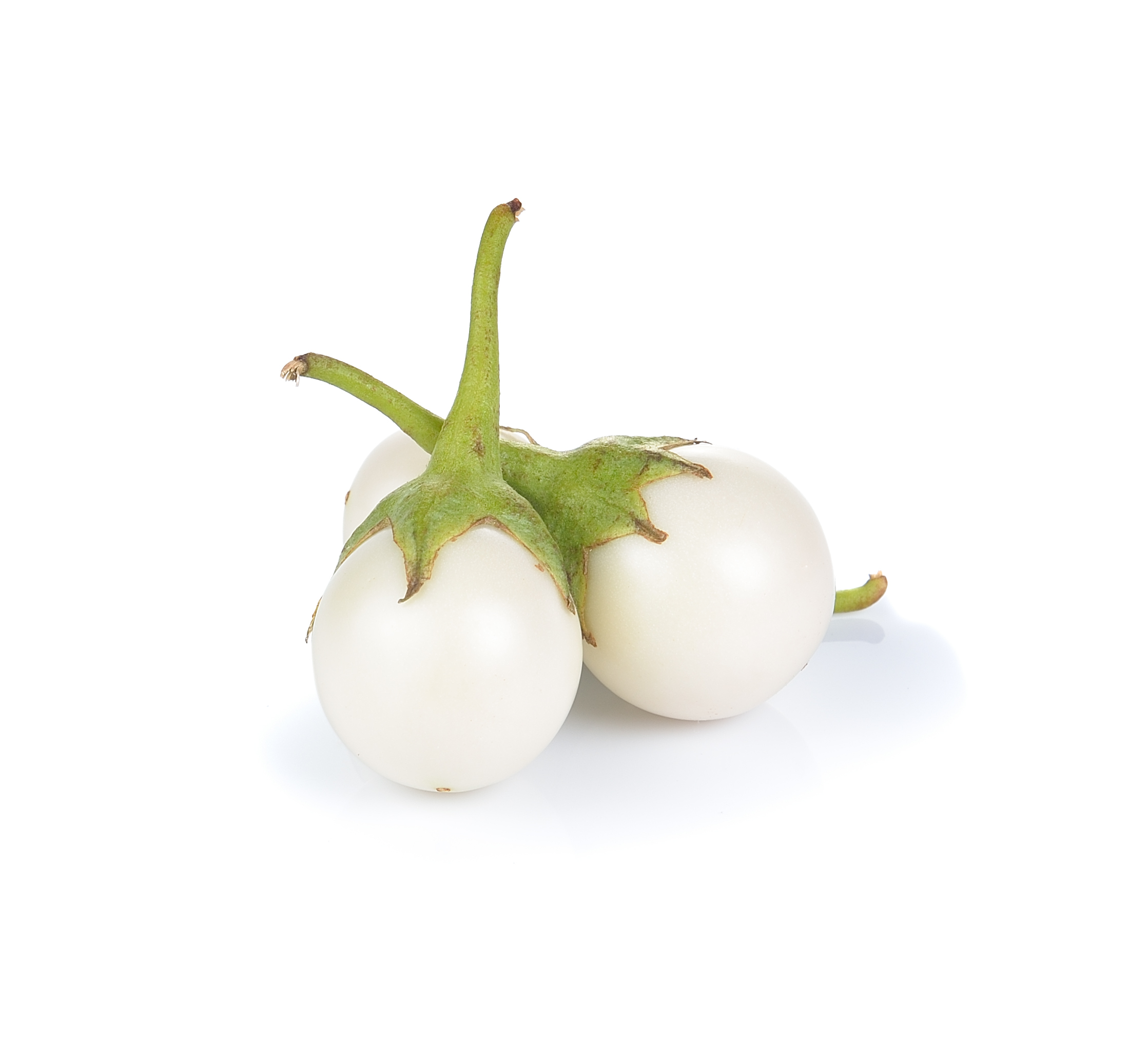 White Thai Eggplant