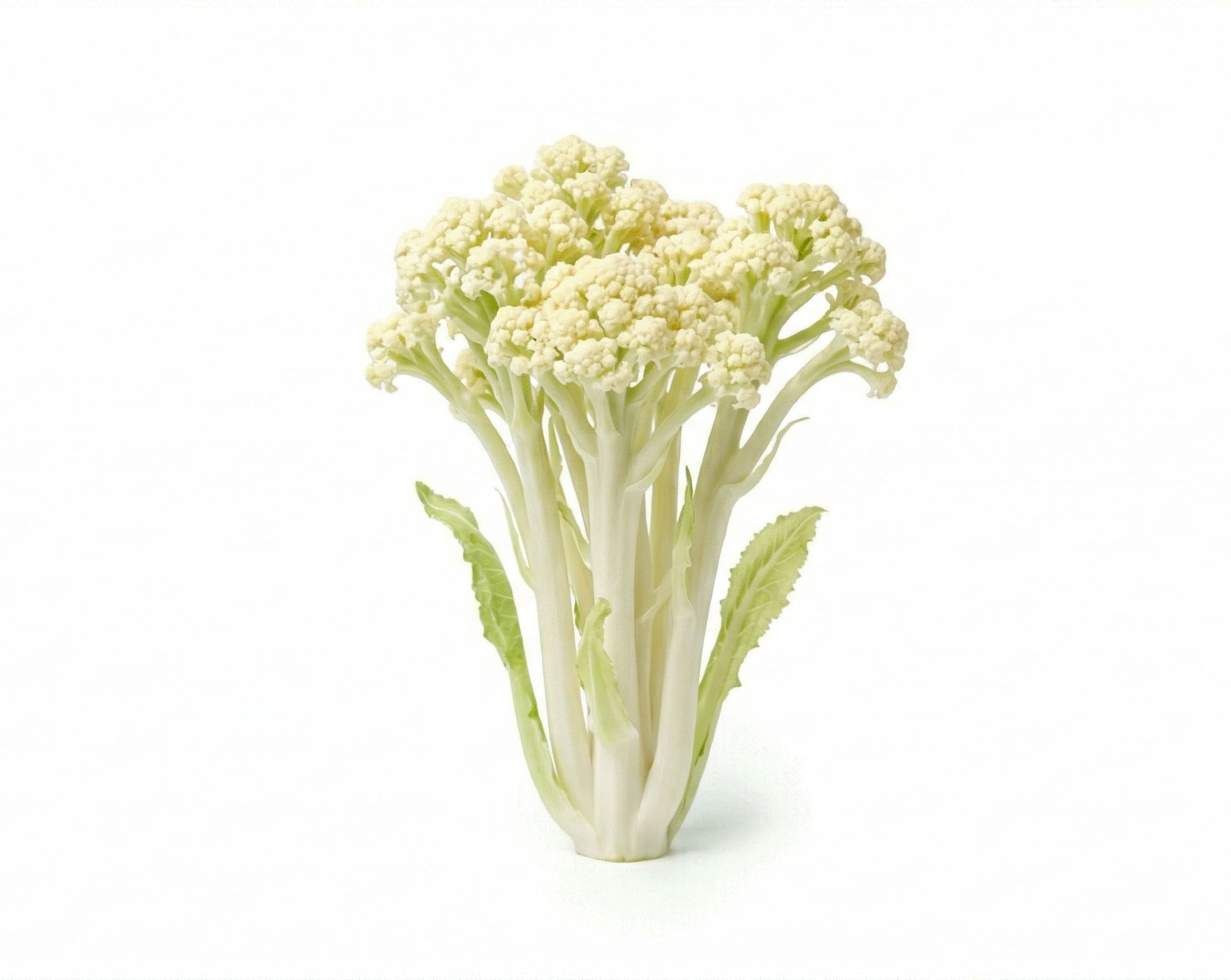 Chinese Cauliflower