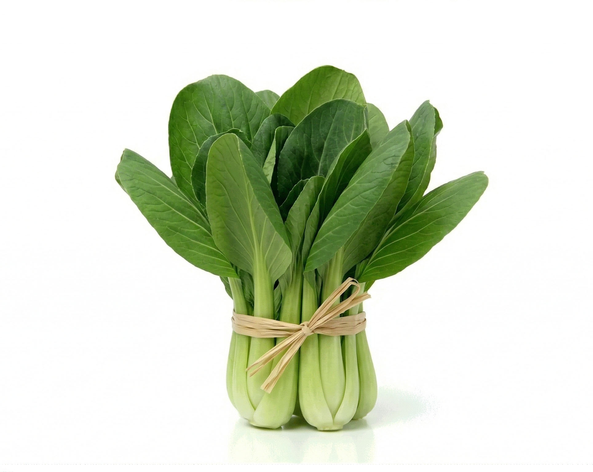Shanghai Bok Choy